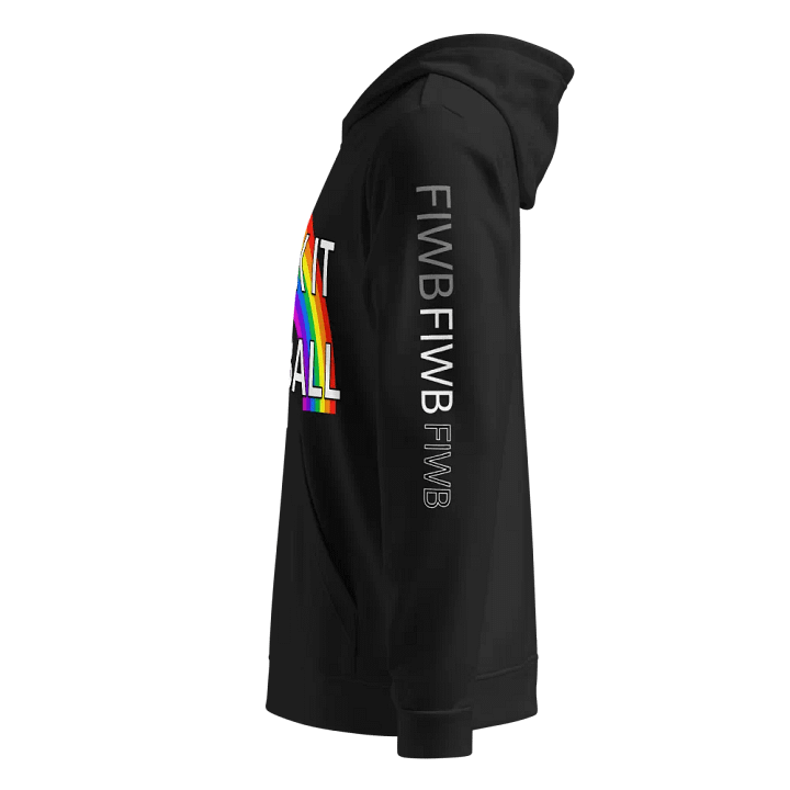 FIWB w.rainbow ADIDAS HOODIE product image (2)