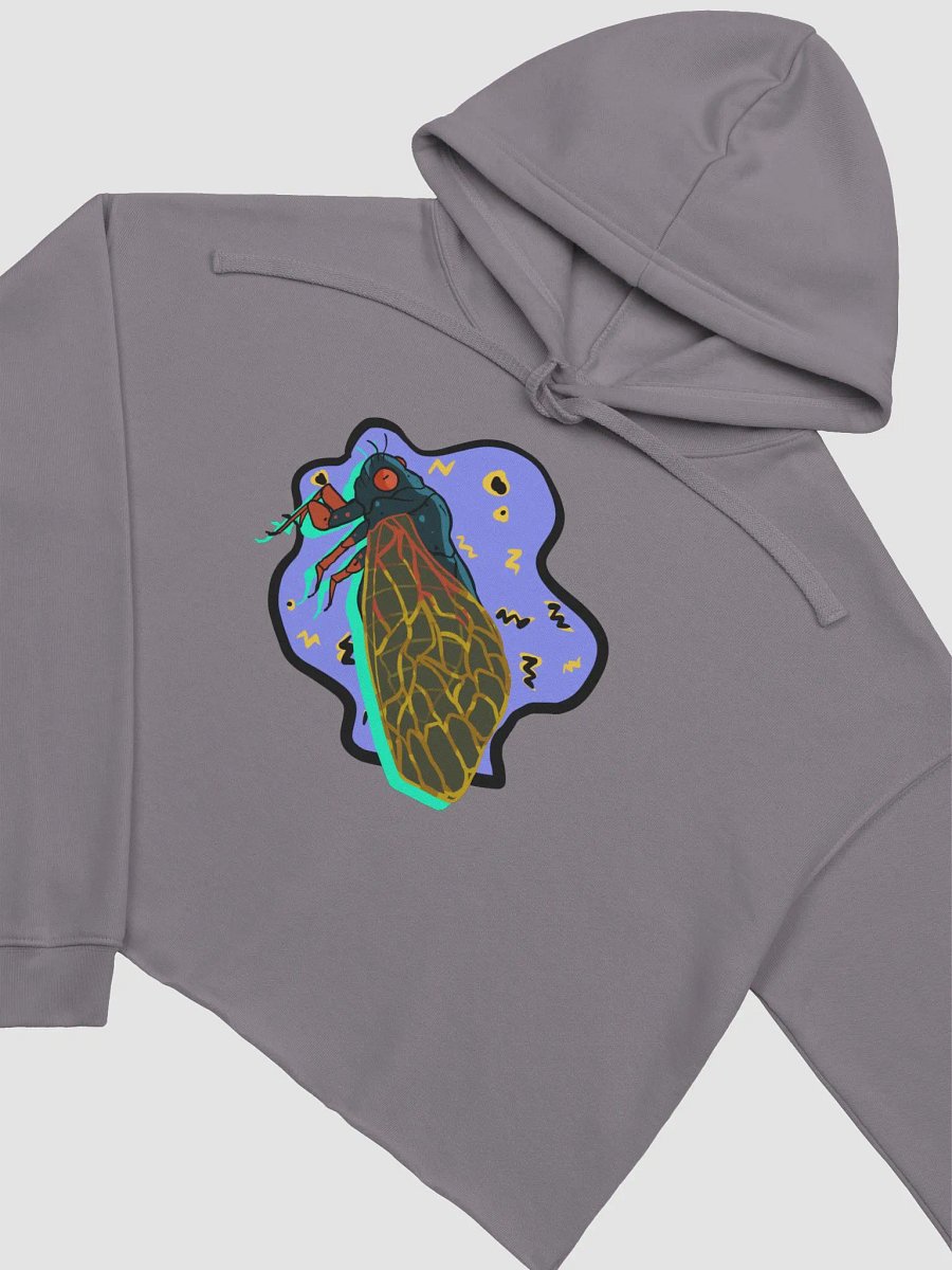 Vaporcicada fleece crop hoodie product image (4)