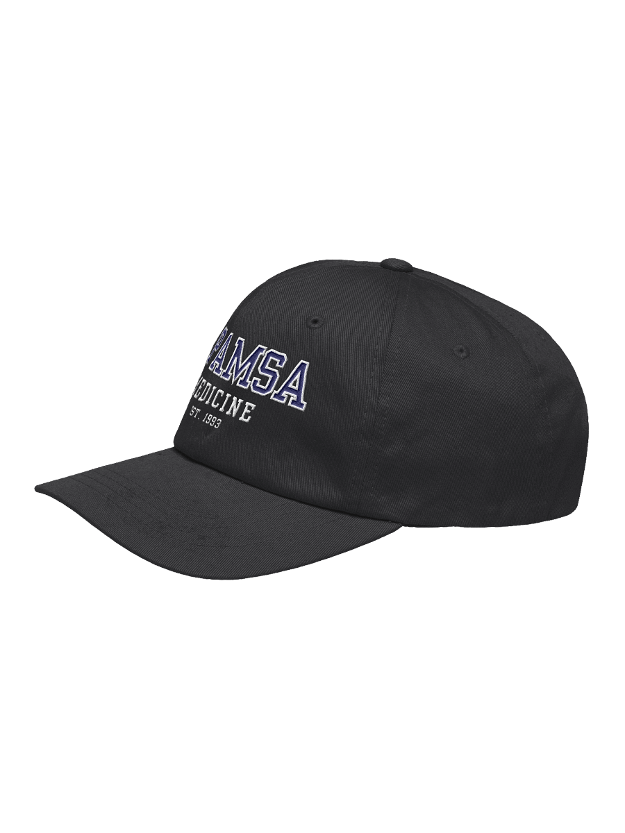APAMSA Varsity Cap product image (3)