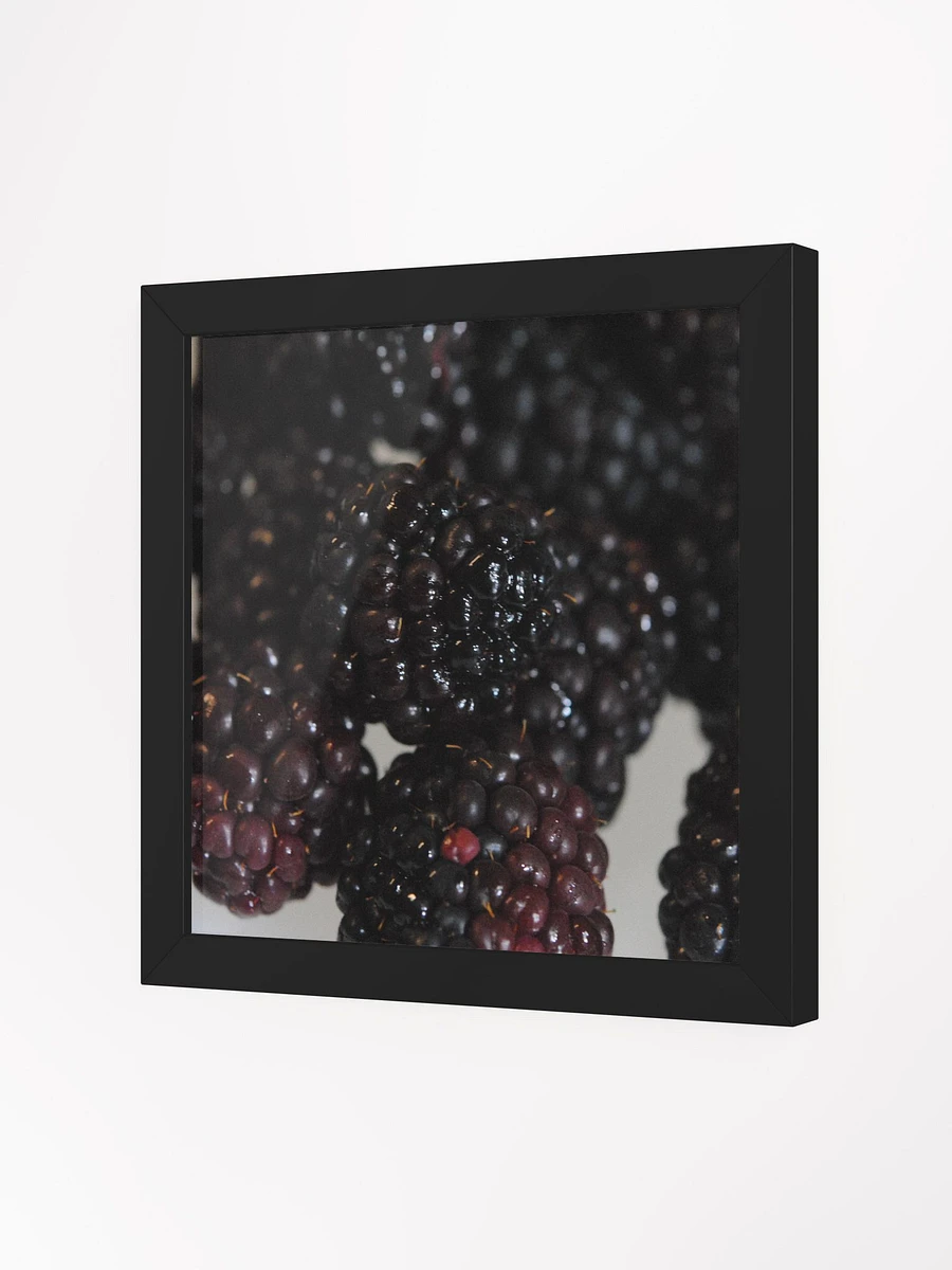Blackberries Framed Poster product image (23)