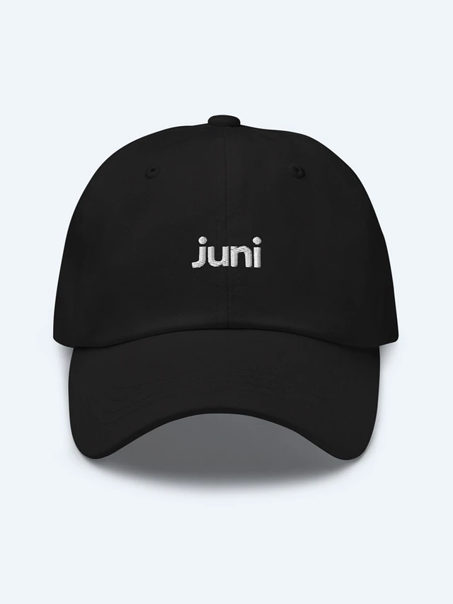 Juni Hat, Black product image (1)