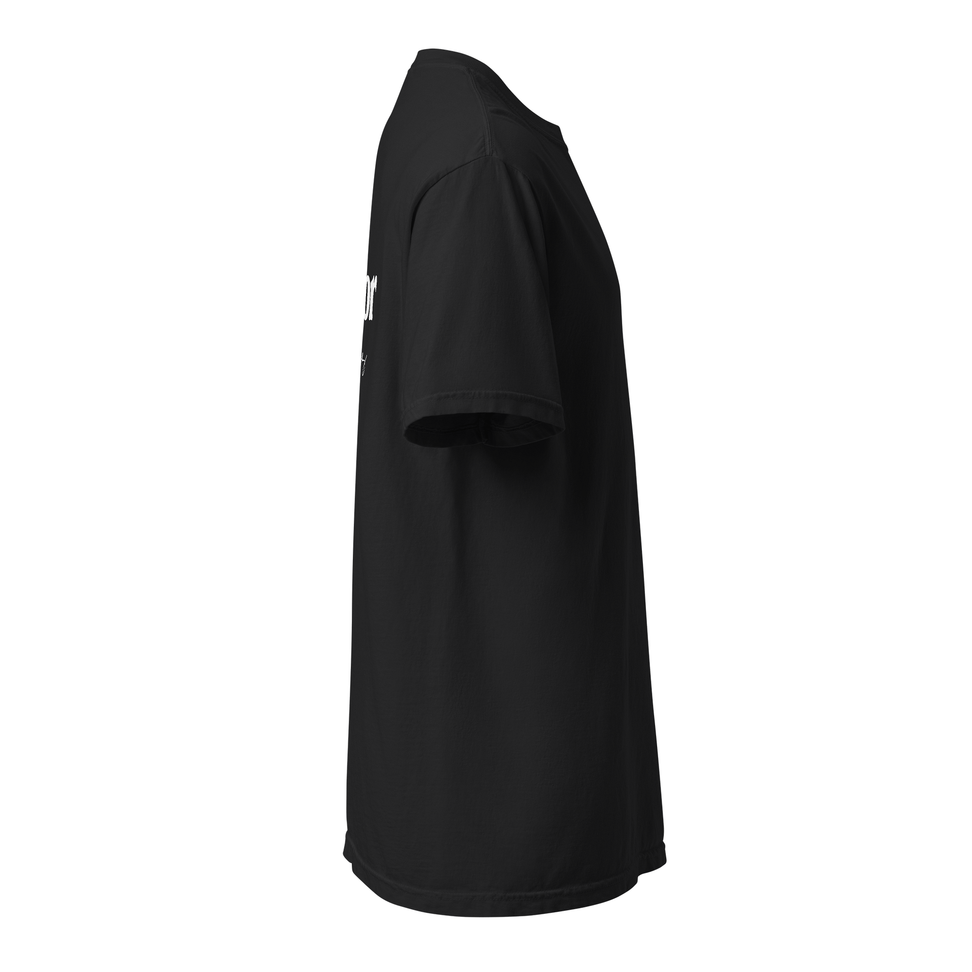 Trevor Ledge Stylized Tee product image (3)