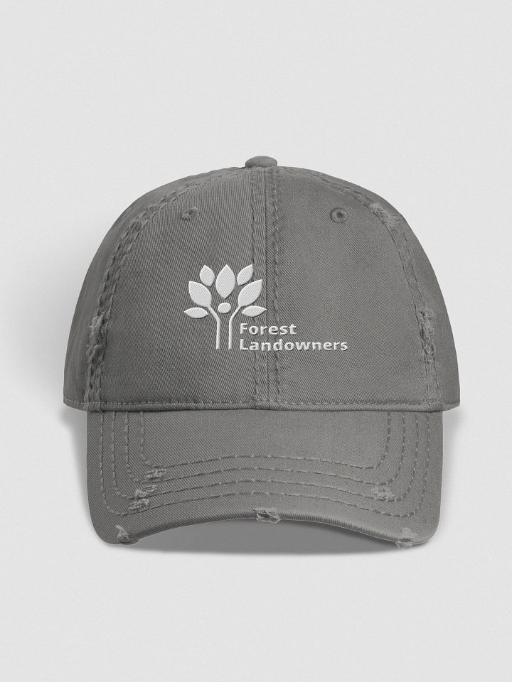 FLA Gray Distressed Hat product image (1)