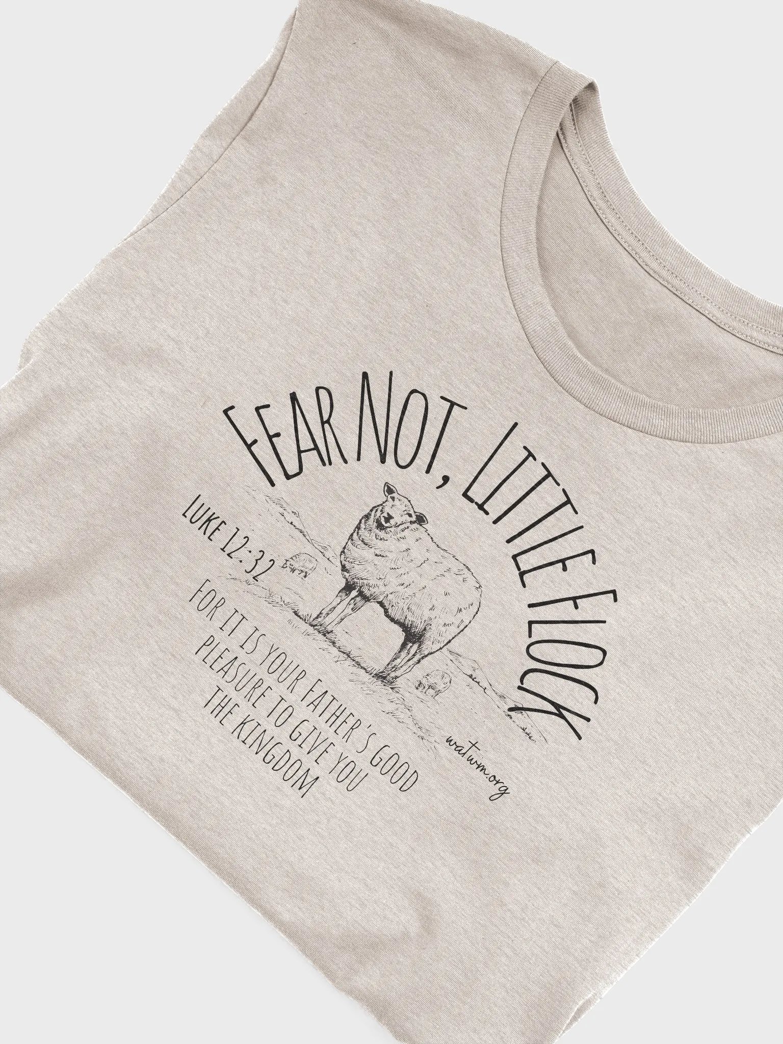 Fear Not Little Flock T-Shirt product image (5)