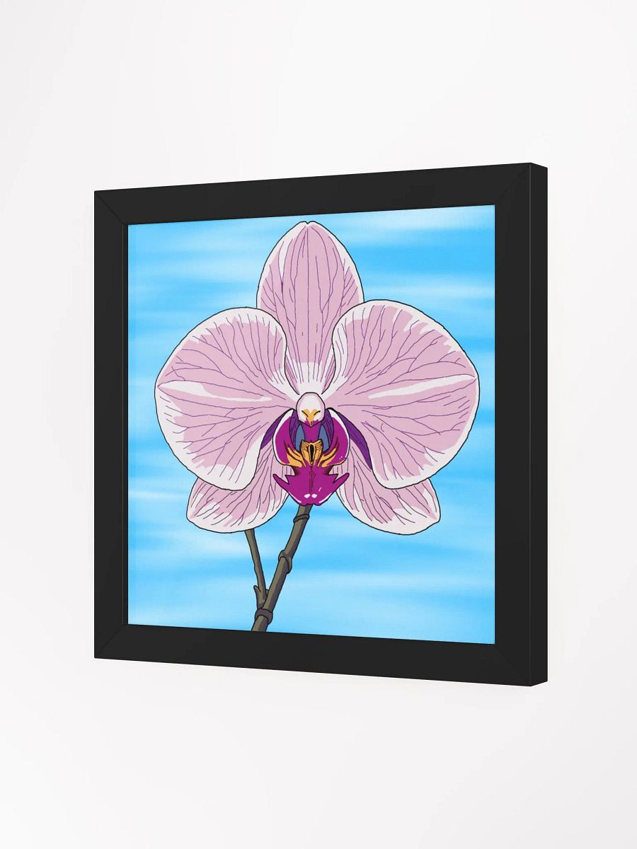orchid product image (2)