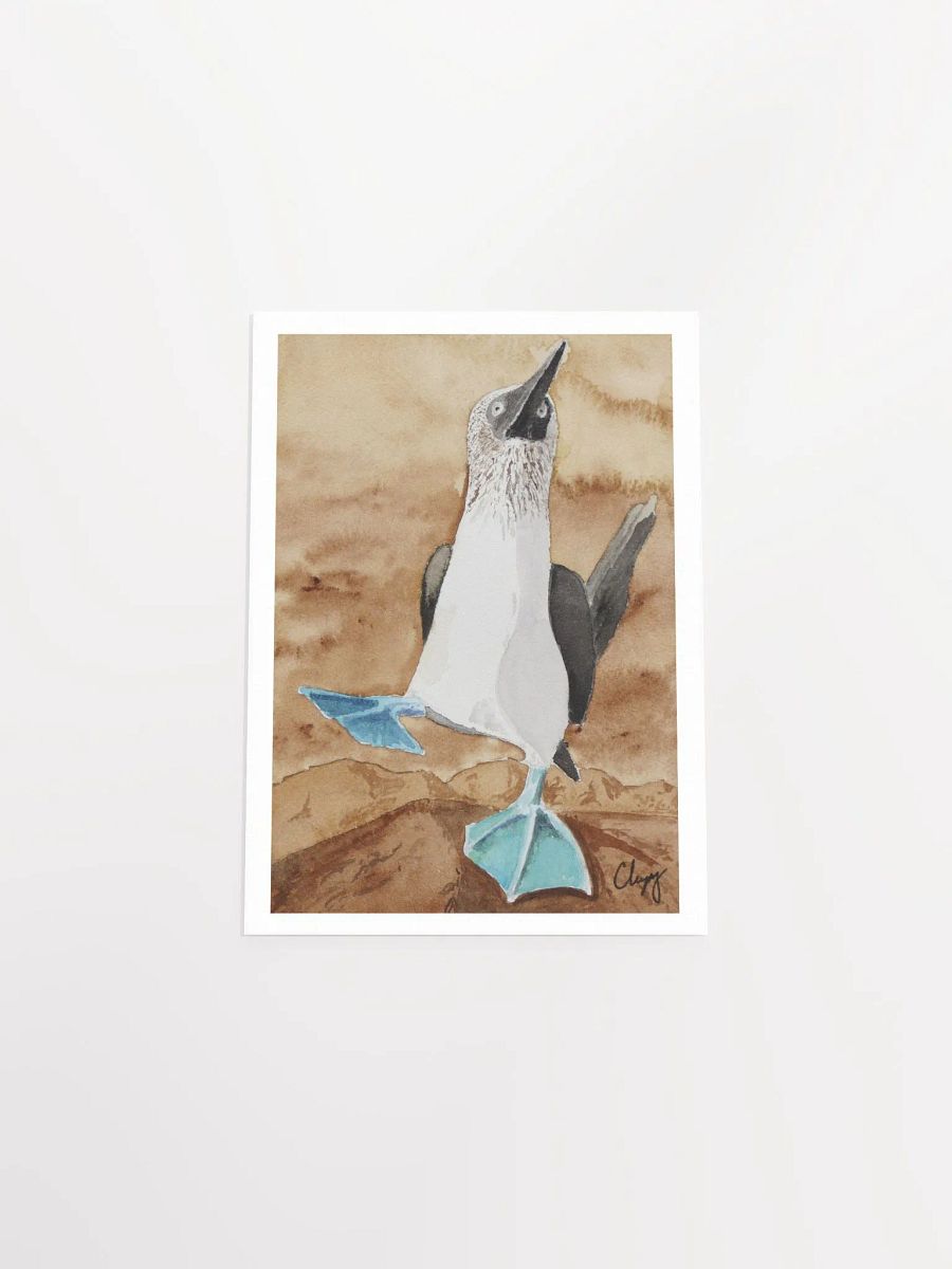 Blue Footed Booby Print product image (4)