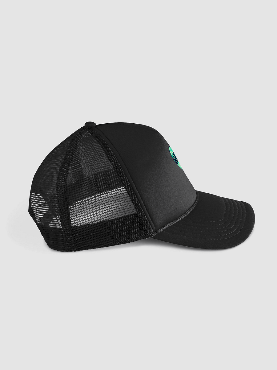 UNISEX HOT BOX FAM MINT GREEN HONEY COMB LOGO HAT product image (5)