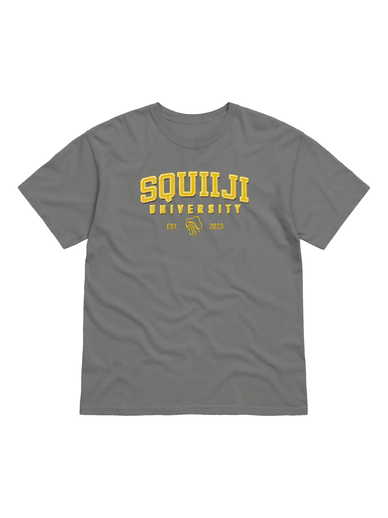 Squiiji University Embroidered Tee product image (6)