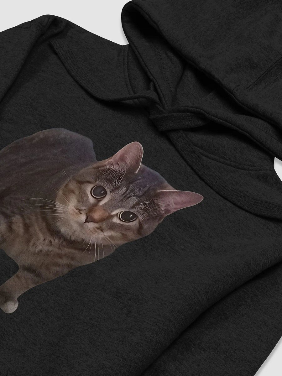 Oiiaoiia Cat product image (3)