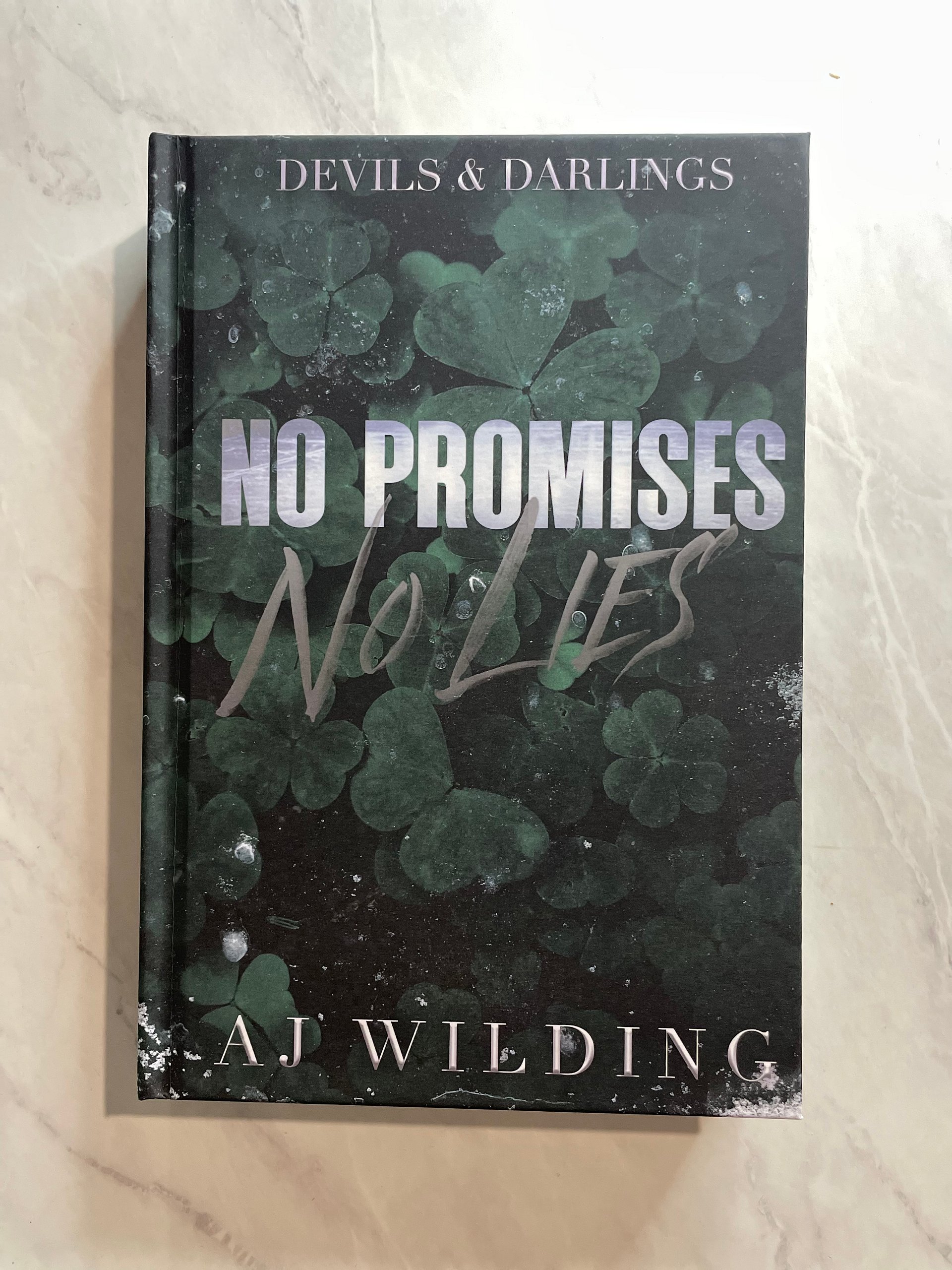 No Promises, No Lies - Signed Hardcover product image (3)