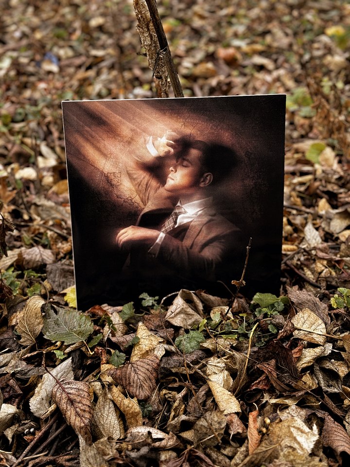 WARMTH - 12'' Vinyl LP Bundle product image (2)