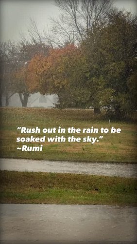 “Rush out in the rain to be soaked with the sky.” ~Rumi #WalkEveryDay #FeelTheMoment #FeelTheMO