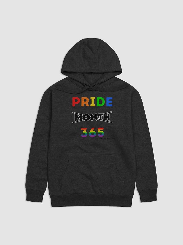 Pride 365 Hoodie product image (2)