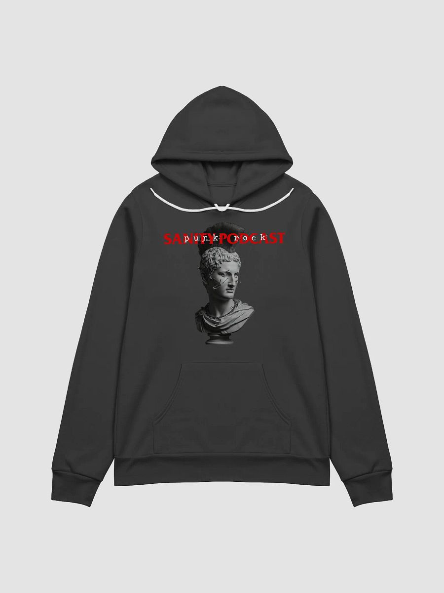 STRANGER THAN SANITY "Roman Bust" hoodie product image (2)