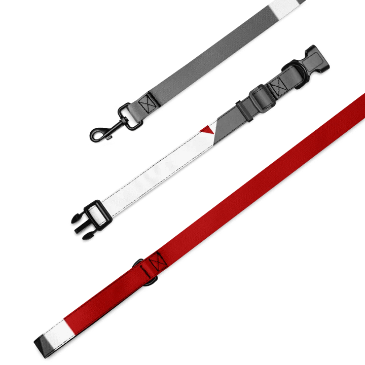 Pet Collar/Leash product image (2)