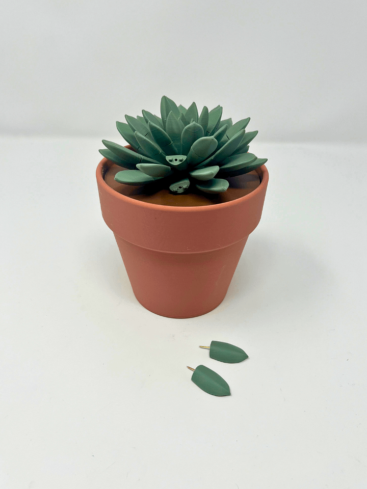 Push Pin Succulent (3D Printed) product image (1)