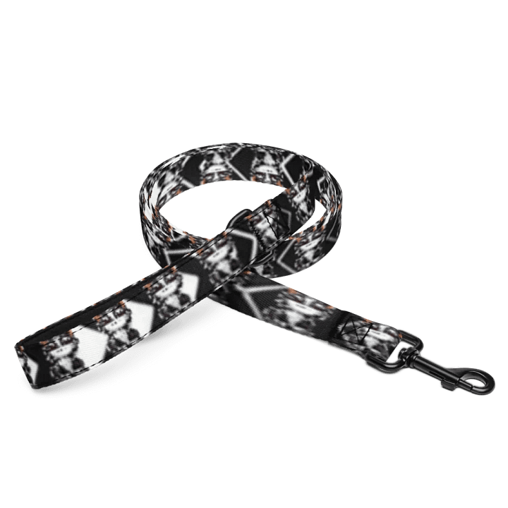 Buddy Pet Leash product image (2)