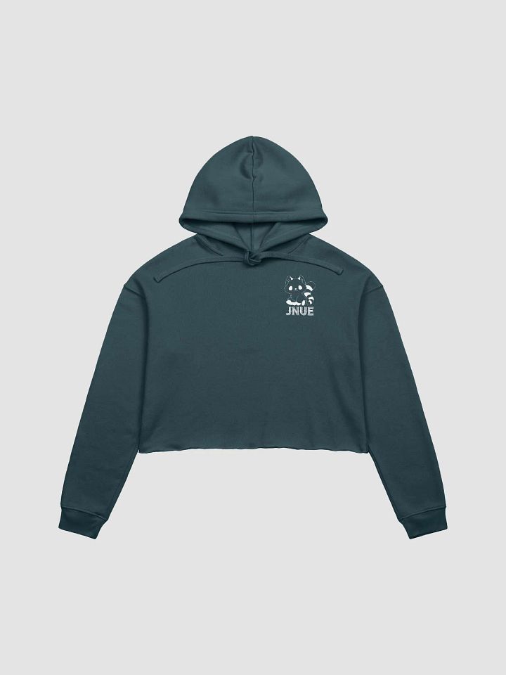 Crop Top Hoodie product image (1)