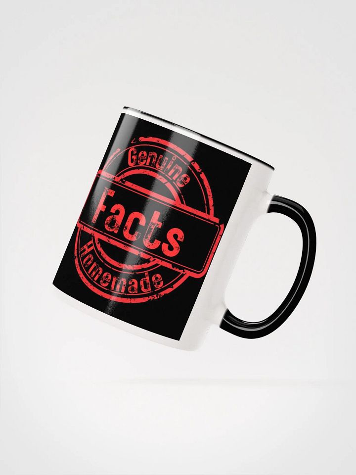 ETHANBOMB - FACTS MUG product image (19)
