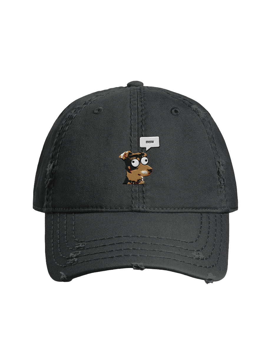 Pre-chewed hat! product image (1)