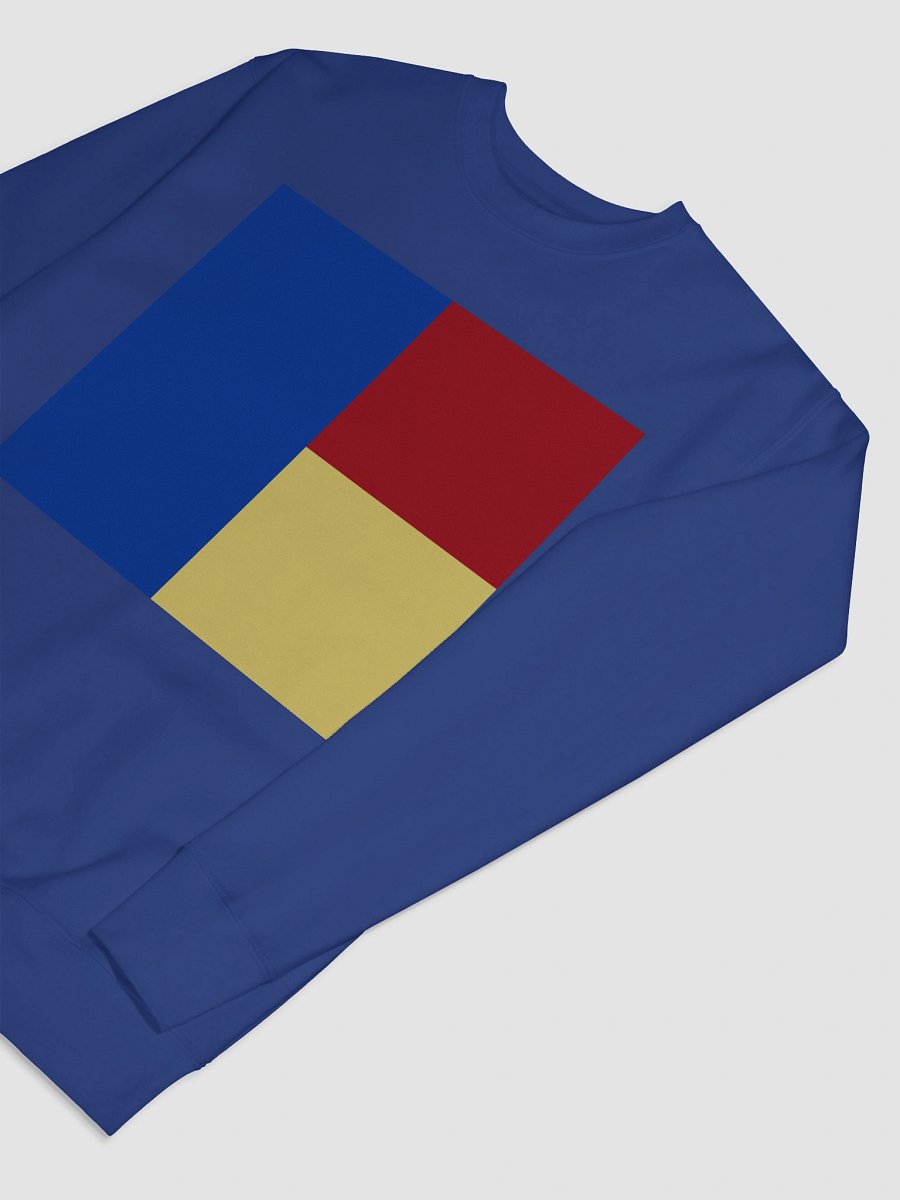 The Style: Colorblock Cotton Sweatshirt product image (13)