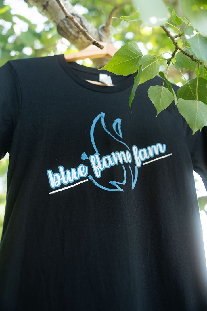 Blue Flame Fam Classic Tee product image (1)
