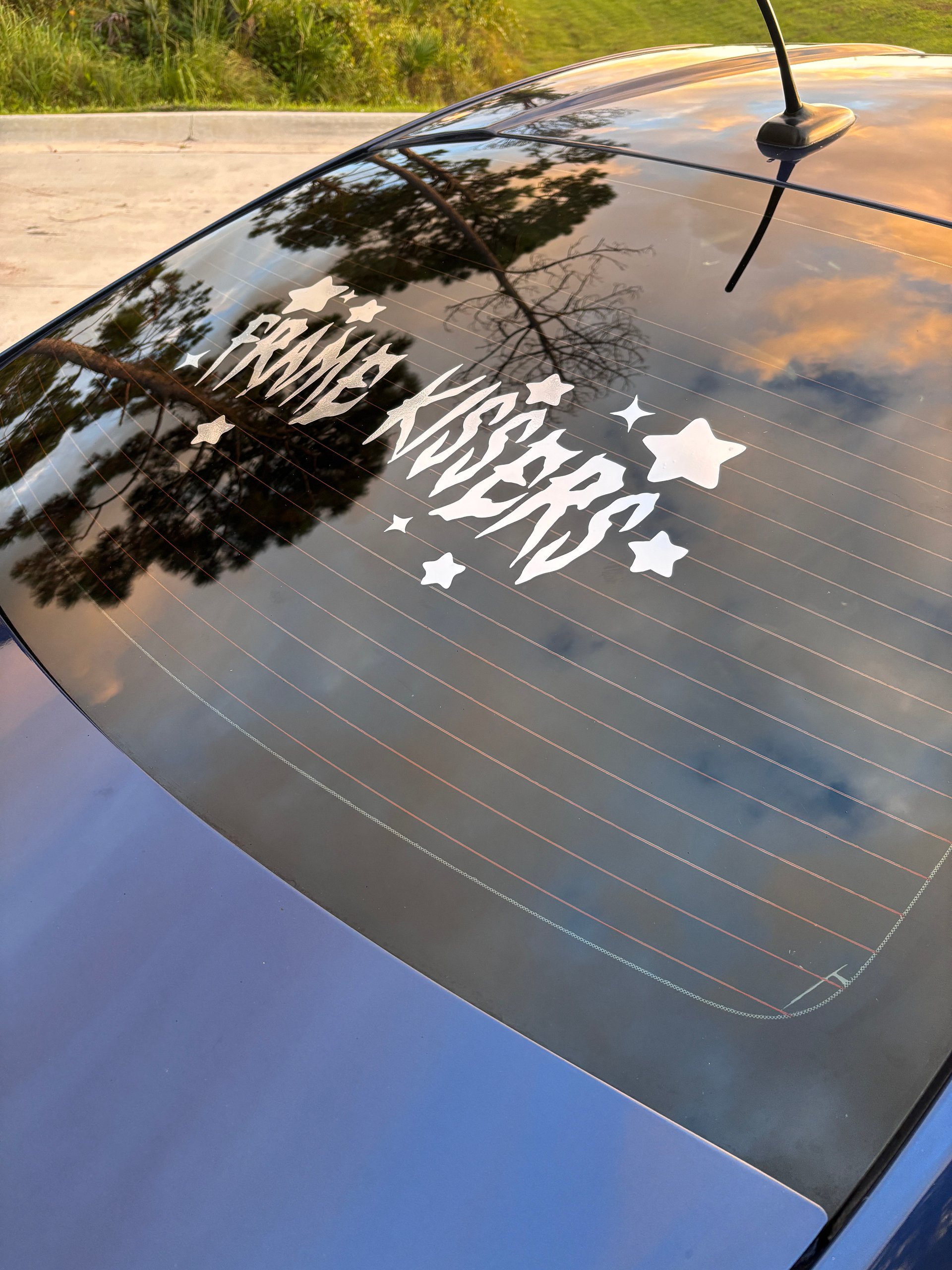 FRAME KISSERS BANNER CHROME STICKER product image (3)