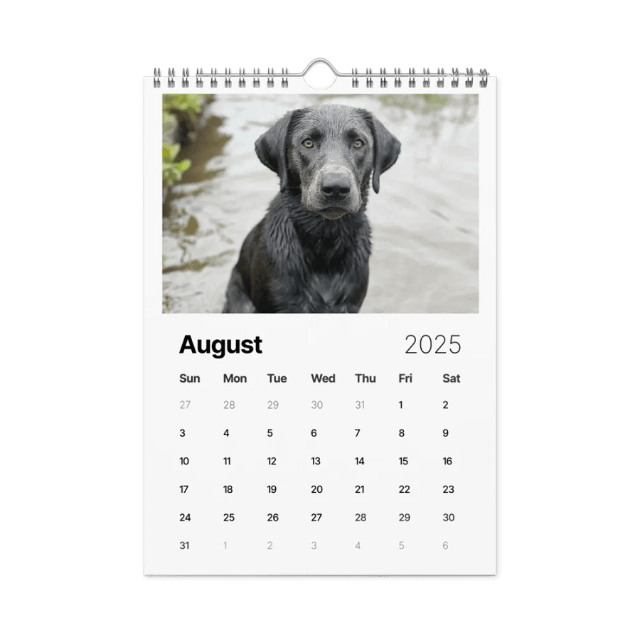 2025 Doggo Calendar product image (2)