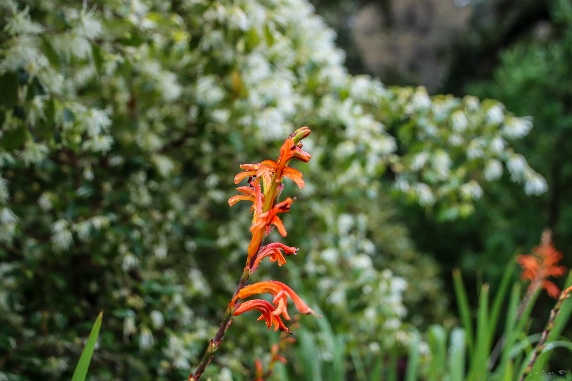 🌍 Fine Art – Where Continents Whisper 🍃🧡 product image (1)