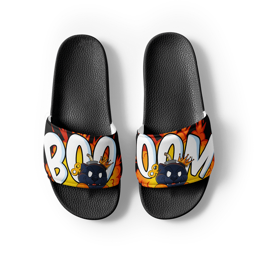 The BOOOOOM Dog Slides product image (4)