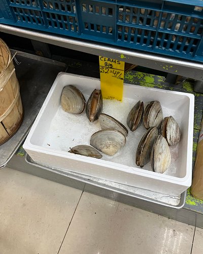 Clams. I feel like a clam sometimes. Big and tough on the outside squishy and vulnerable on the inside but I don’t mind being...