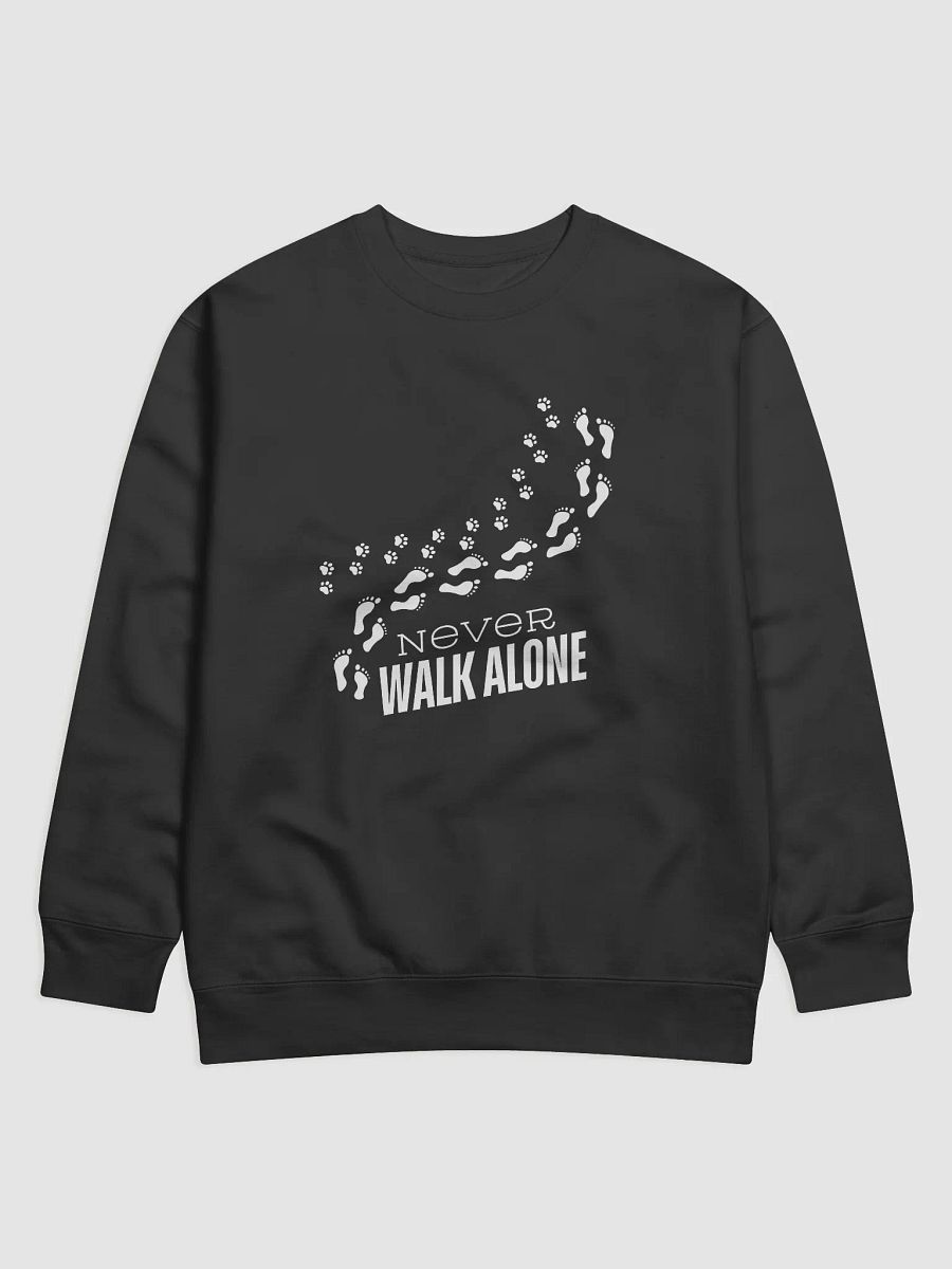 Never Walk Alone product image (1)