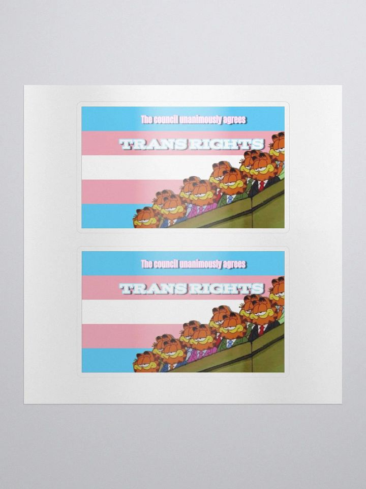 Trans Rights Stickers product image (1)