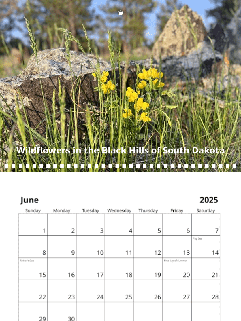 2025 Photo Calendar product image (7)
