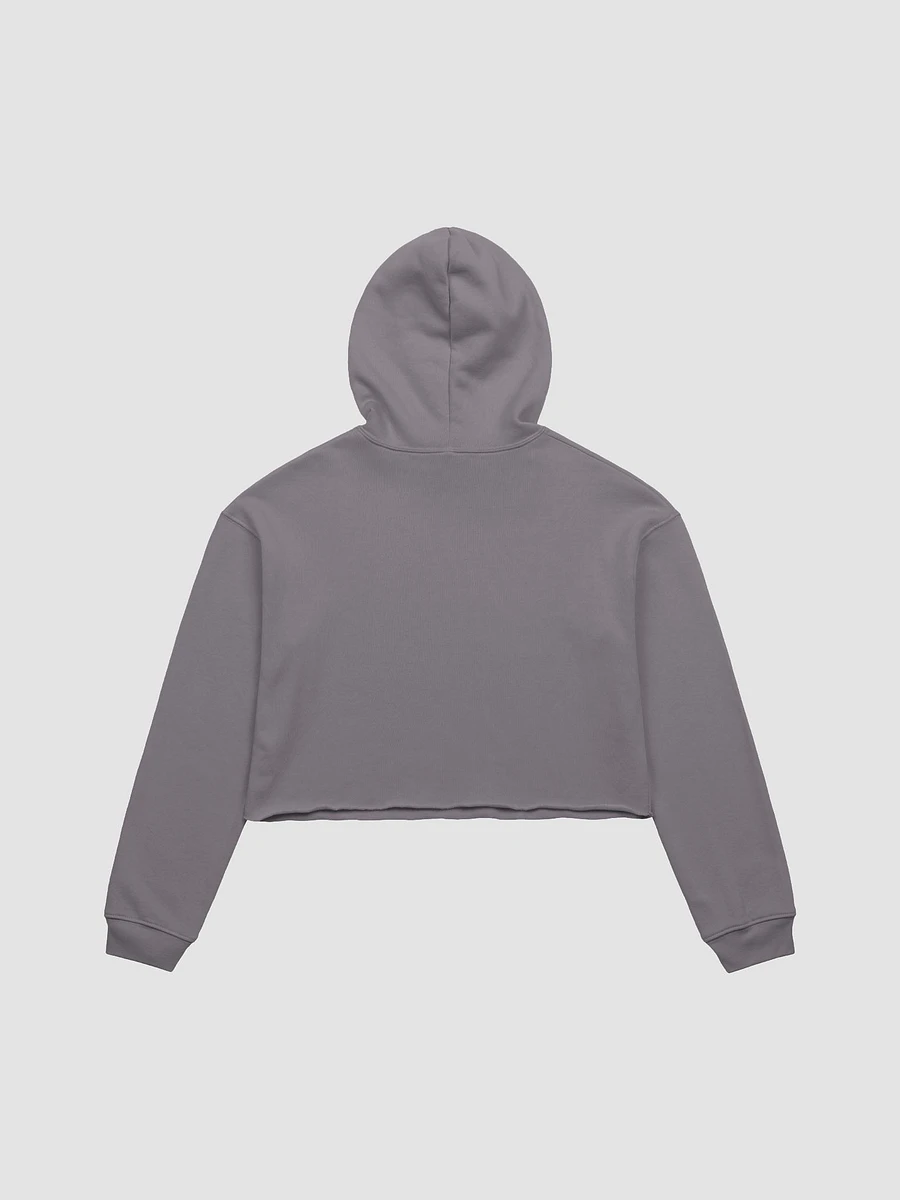 Vaporbee fleece crop hoodie product image (3)