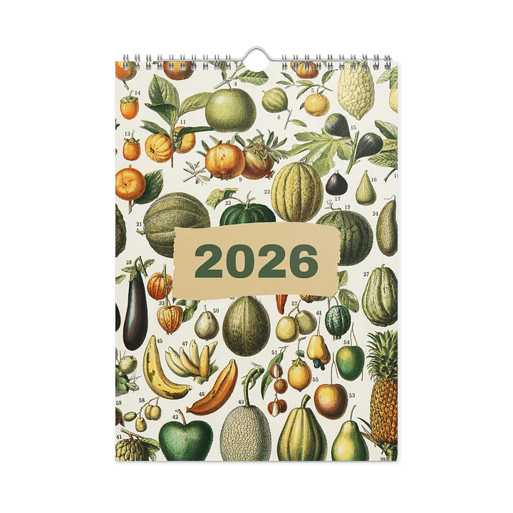 DK 2026 Wall Calendar product image (1)