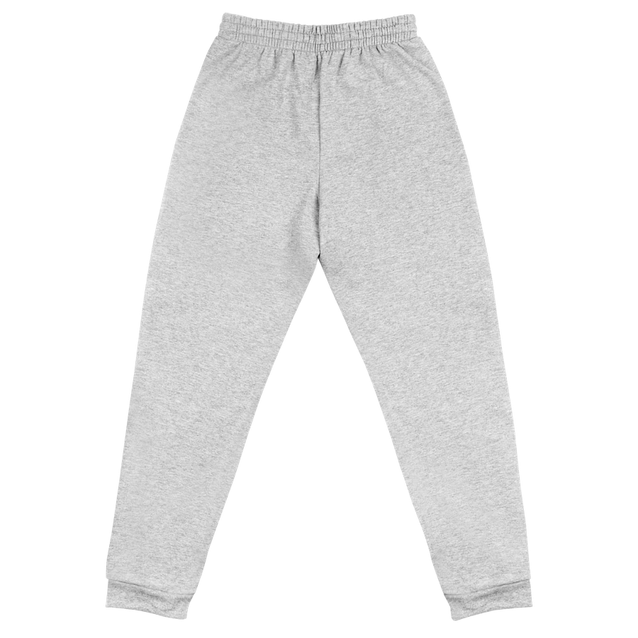 PhynixPC Embroidered Joggers product image (2)