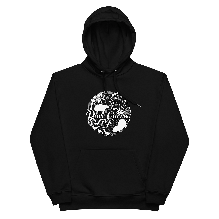 Hoodie by Parc Carreg product image (2)