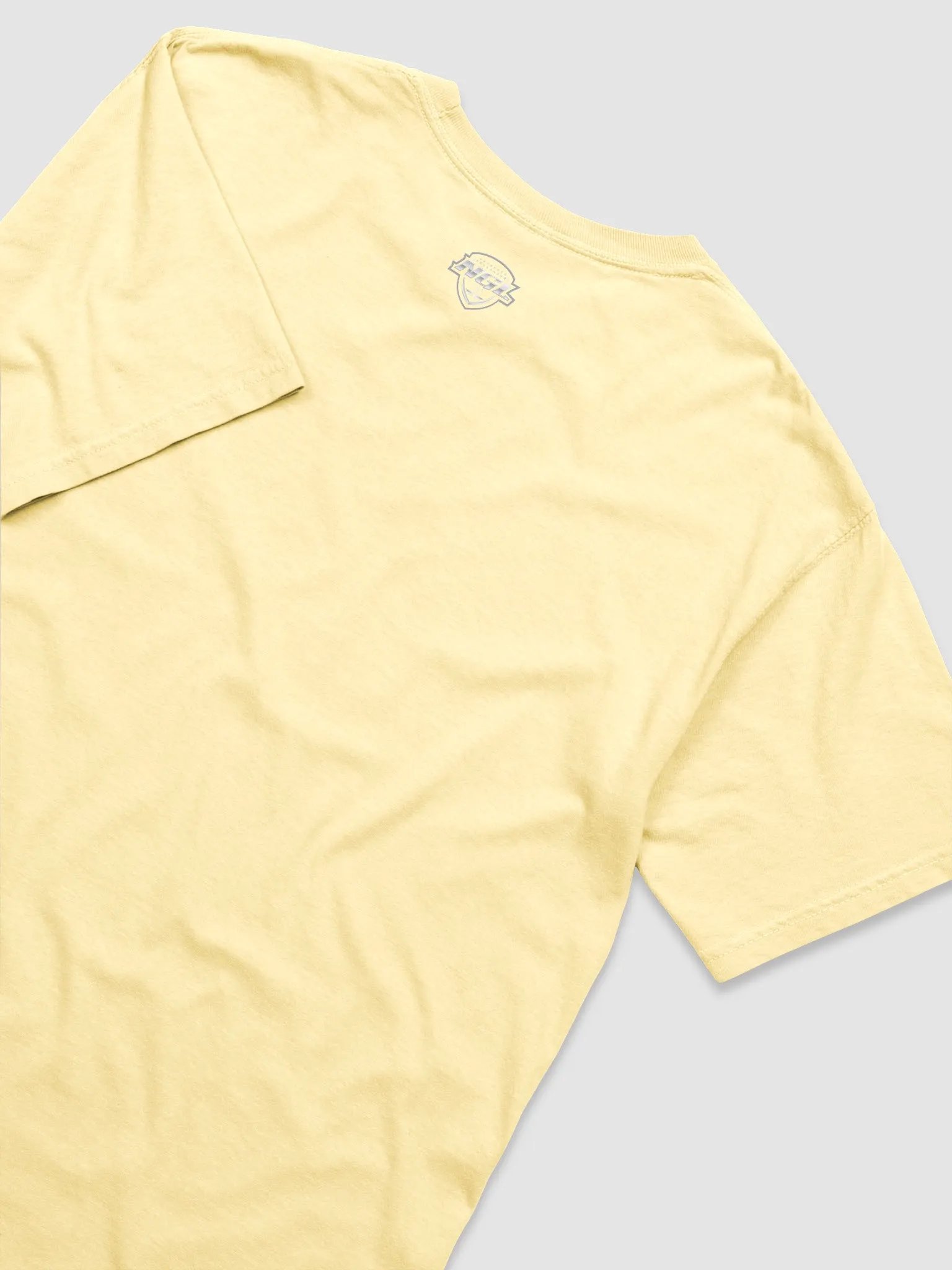 Mississippi Mudcats T-Shirt by Comfort Colors product image (4)