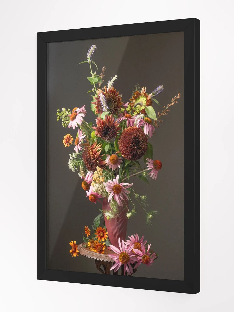 Echinacea Summer II product image (4)