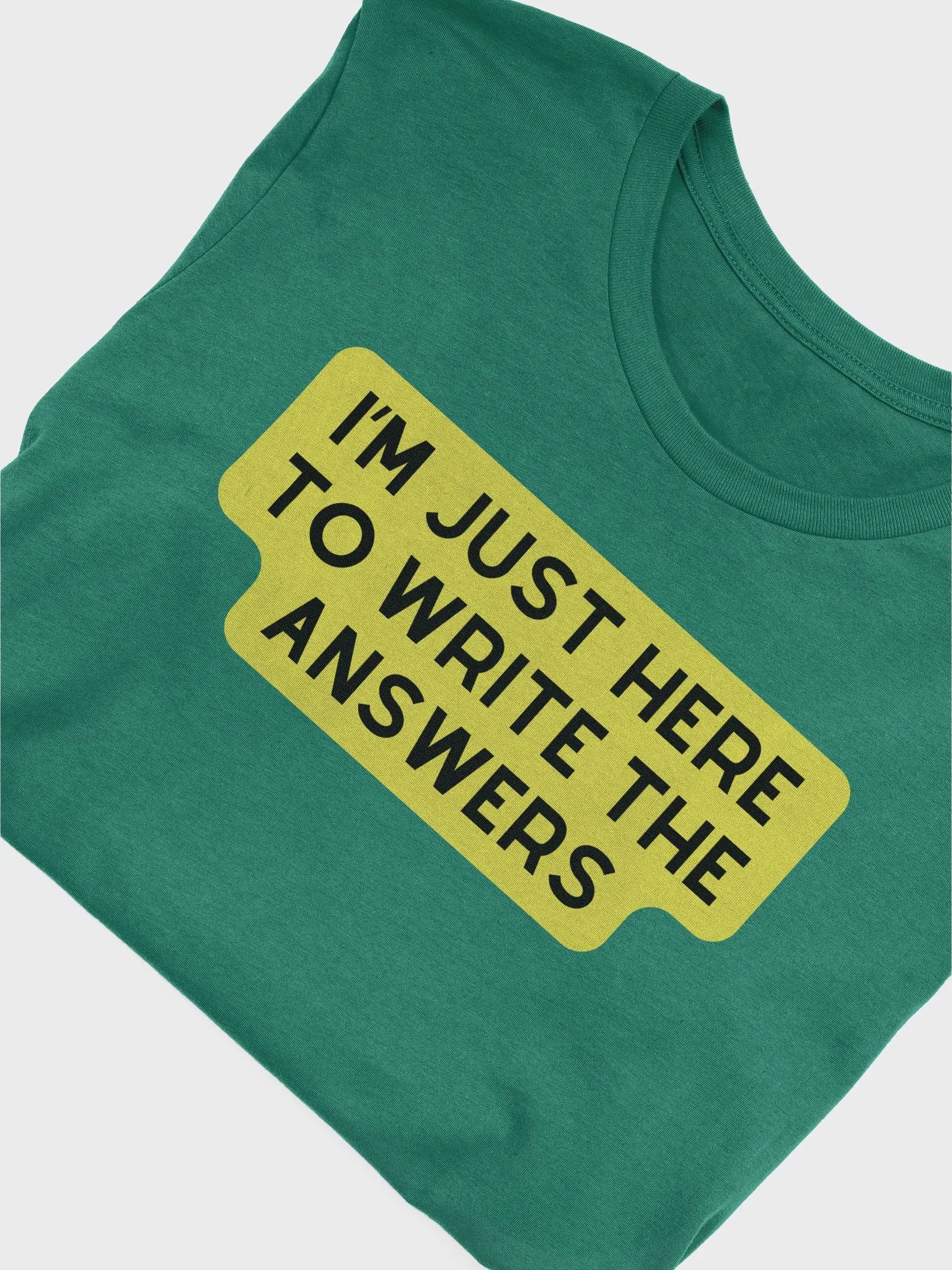 Designated Scribe T-Shirt product image (4)
