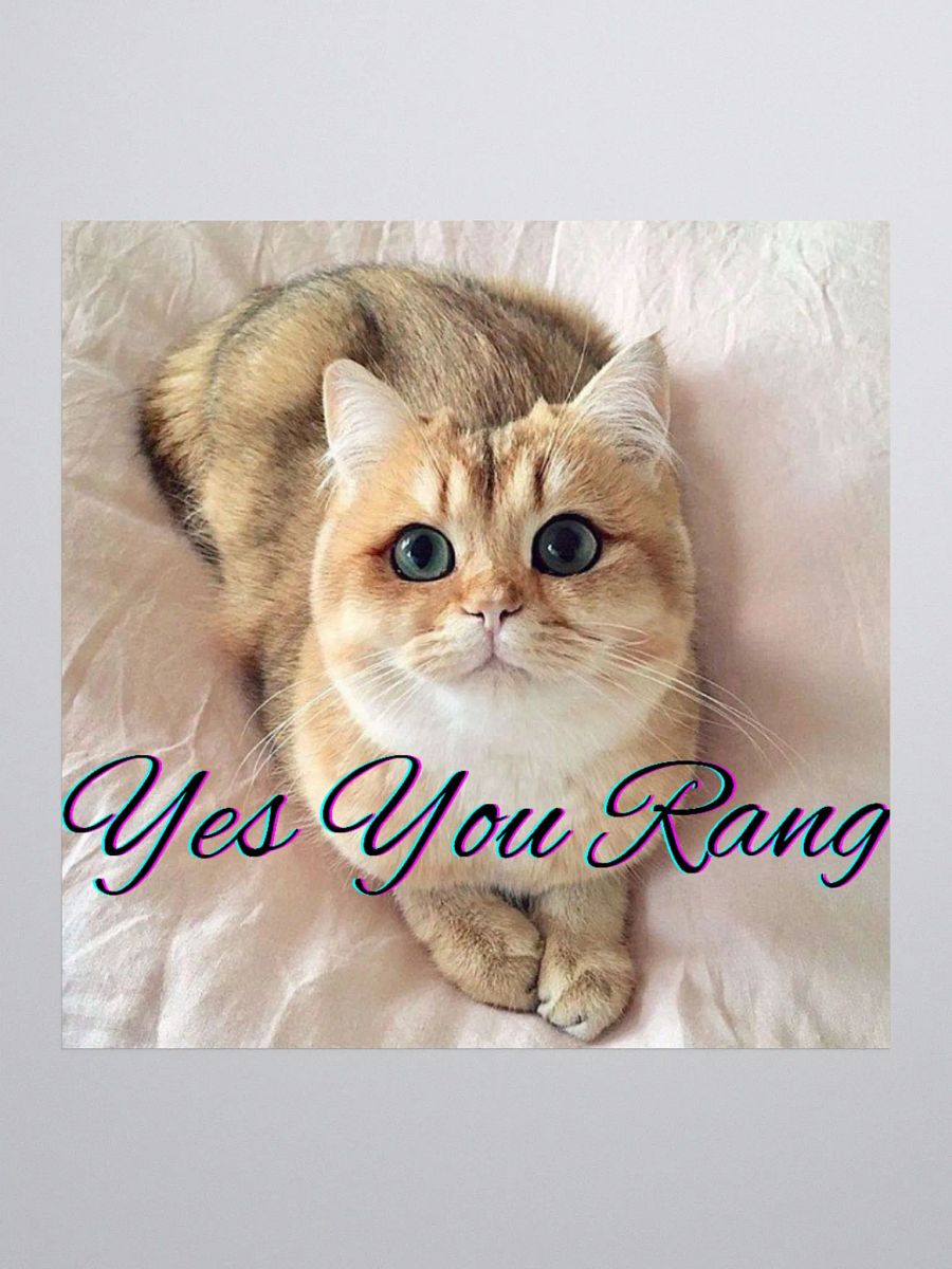 You Rang product image (1)