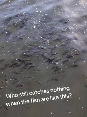 Definitely not me 🤣 #fishing 