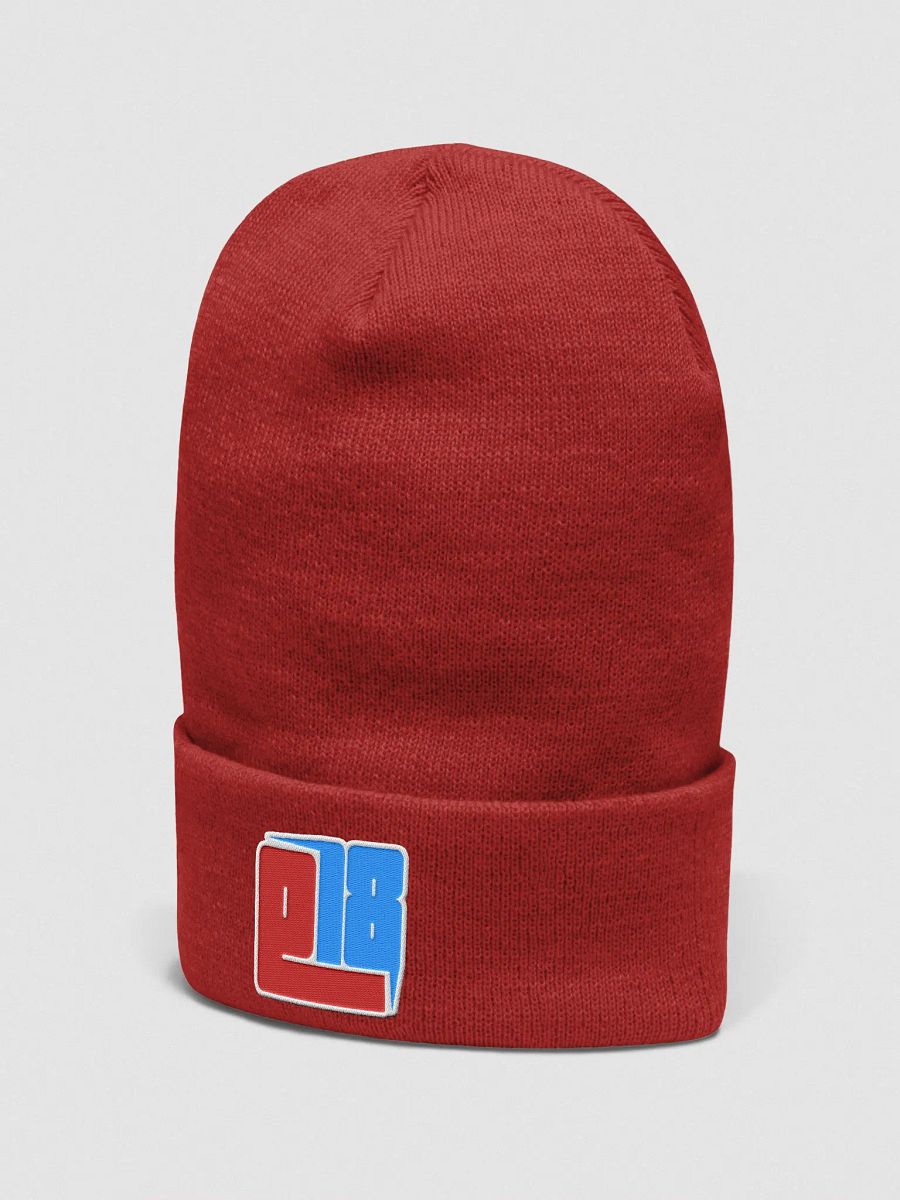 E18 Embroidered Beanie product image (3)