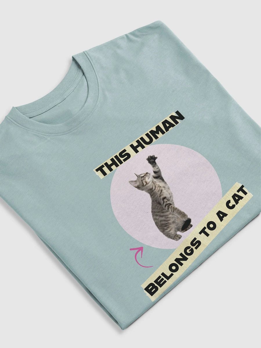 Playful Kitten 'Owned by a Cat' Tee product image (33)