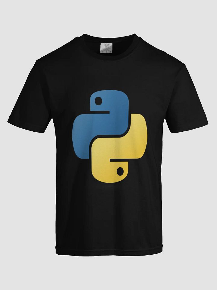 Python Developer T-Shirt product image (1)