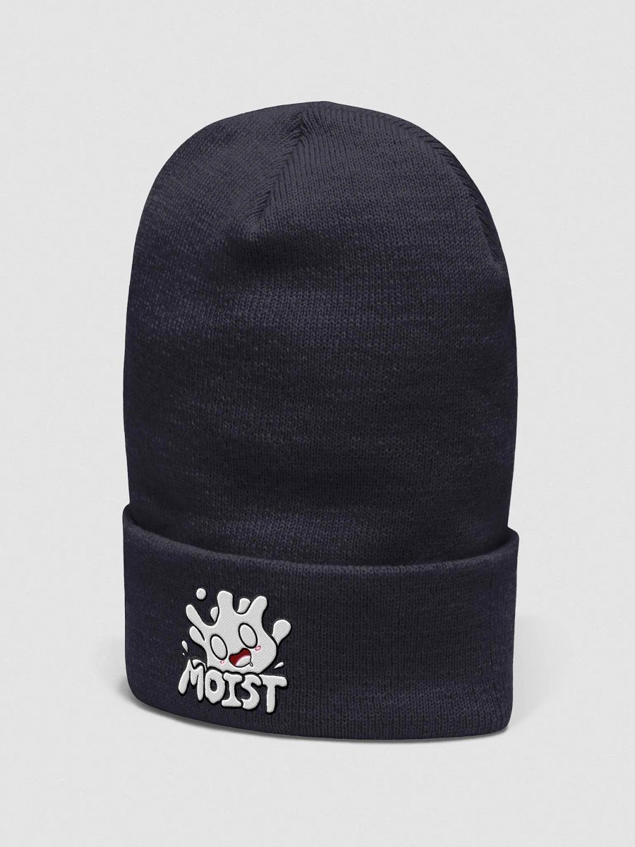 Forbidden Moist Beanie product image (2)