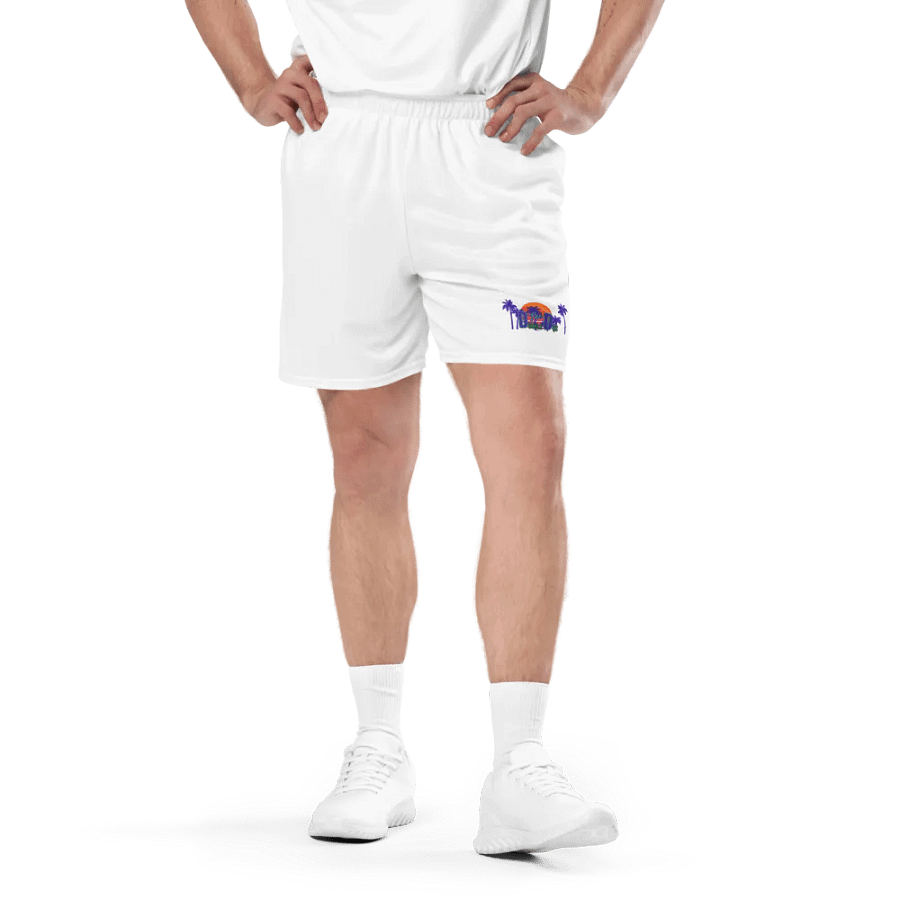 TheDoubleDos Spring Shorts product image (1)