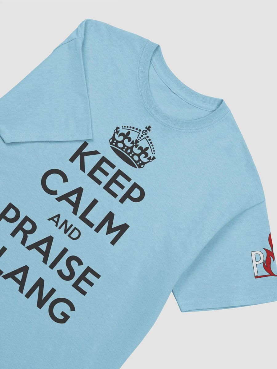 The Keep Calm T-Shirt (Black) product image (3)