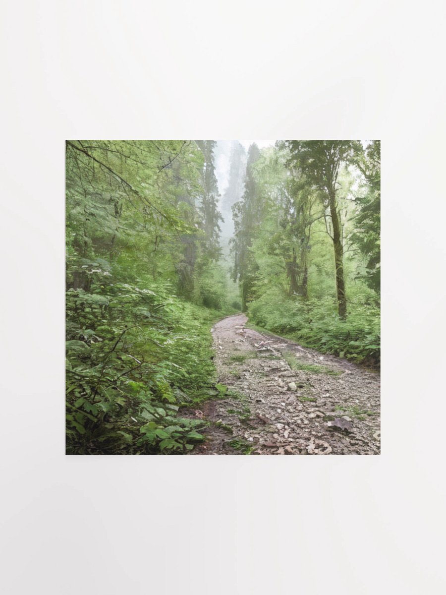 Enchanted Forest Path Poster product image (2)